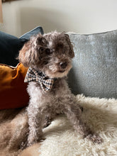 Load image into Gallery viewer, Dog bow tie