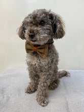 Load image into Gallery viewer, Dog bow tie
